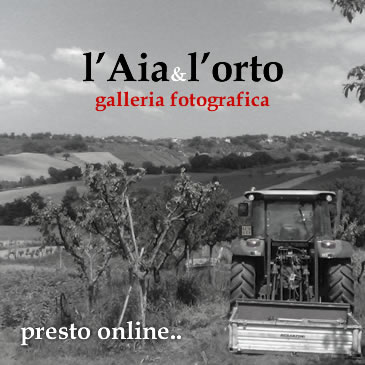 presto online..